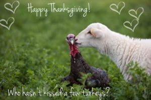 Happy Thanksgiving from PLPAA!