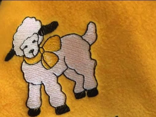 Pledge Basket Blankets